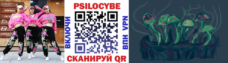 как найти   Городовиковск  Псилоцибиновые грибы мухоморы 